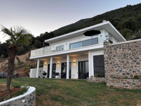Villa Mimosa with private swimming pool